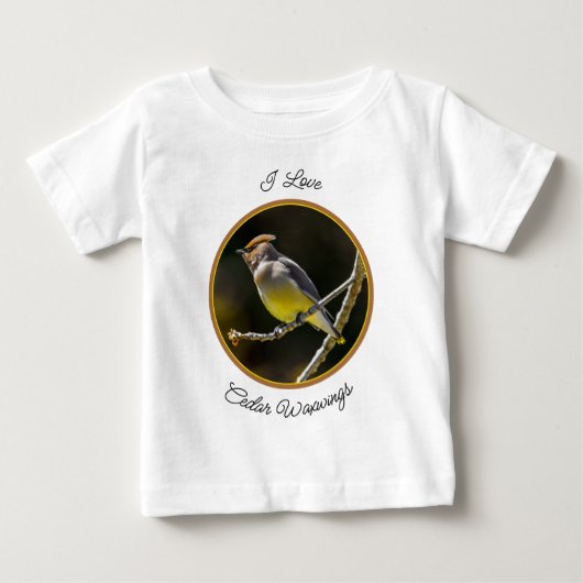 Cedar Waxwing zangvogel origineel wilde vogel foto (Voorkant)