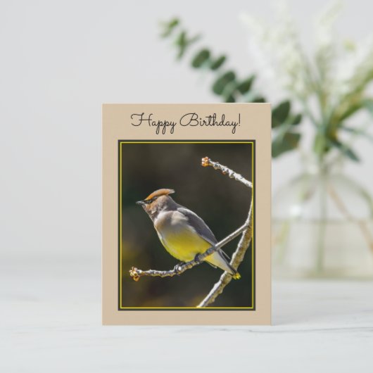 Cedar Waxwing zangvogel origineel wilde vogel foto Briefkaart (Staand voorkant)