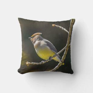 Cedar Waxwing zangvogel origineel wilde vogel foto Buitenkussen