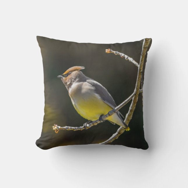 Cedar Waxwing zangvogel origineel wilde vogel foto Buitenkussen (Voorkant)