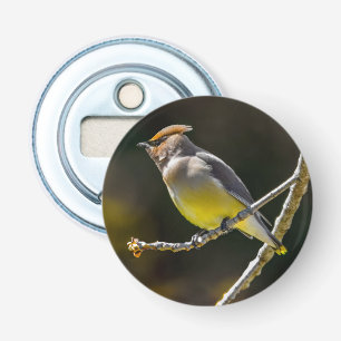 Cedar Waxwing zangvogel origineel wilde vogel foto Button Flesopener