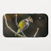 Cedar Waxwing zangvogel origineel wilde vogel foto Case-Mate iPhone Case (Achterkant (horizontaal))