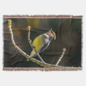 Cedar Waxwing zangvogel origineel wilde vogel foto Deken (Voorkant)