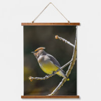 Cedar Waxwing zangvogel origineel wilde vogel foto