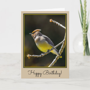 Cedar Waxwing zangvogel origineel wilde vogel foto Kaart