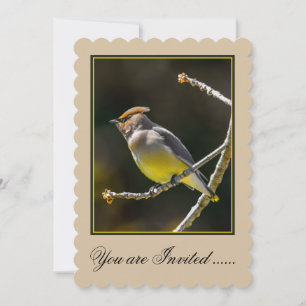 Cedar Waxwing zangvogel origineel wilde vogel foto Kaart