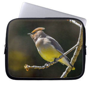 Cedar Waxwing zangvogel origineel wilde vogel foto Laptop Sleeve
