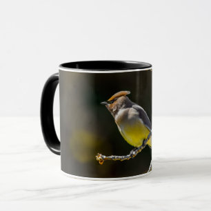 Cedar Waxwing zangvogel origineel wilde vogel foto Mok