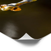 Cedar Waxwing zangvogel origineel wilde vogel foto Perfect Poster (Hoek)