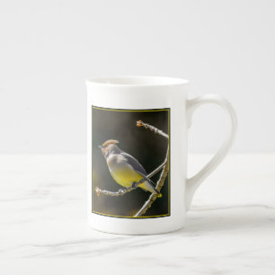 Cedar Waxwing zangvogel origineel wilde vogel foto Porselein Kop
