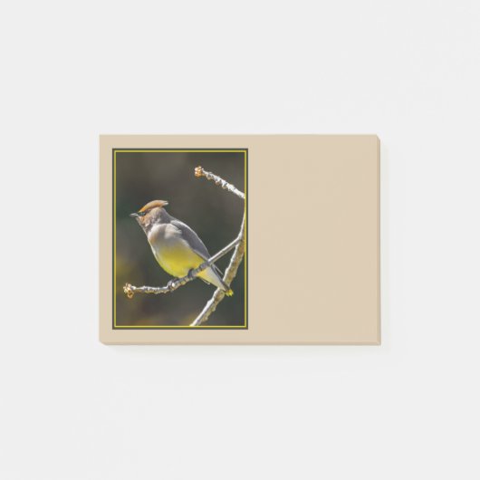 Cedar Waxwing zangvogel origineel wilde vogel foto Post-it® Notes (Voorkant)