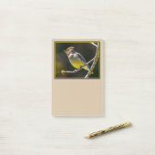 Cedar Waxwing zangvogel origineel wilde vogel foto Post-it® Notes (Op bureau)