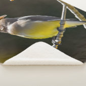 Cedar Waxwing zangvogel origineel wilde vogel foto Sherpa Deken (3/4)