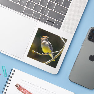 Cedar Waxwing zangvogel origineel wilde vogel foto Sticker