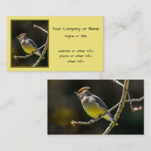 Cedar Waxwing zangvogel origineel wilde vogel foto Visitekaartje