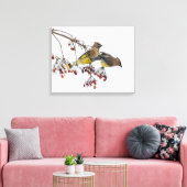Cedar Waxwings Canvas Afdruk (Insitu (Woonkamer))