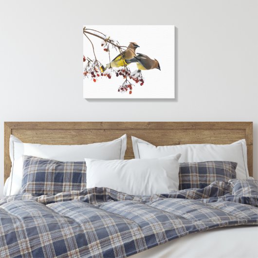 Cedar Waxwings Canvas Afdruk (Insitu (Slaapkamer))