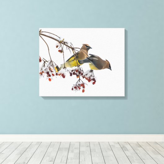 Cedar Waxwings Canvas Afdruk (Insitu (Houten vloer))