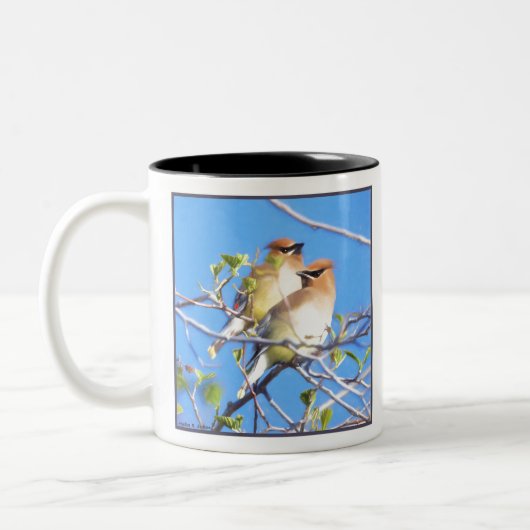 Cedar Waxwings Tweekleurige Koffiemok (Links)