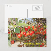 Cedarburg Briefkaart (Voorkant / Achterkant)