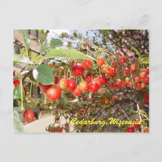 Cedarburg Briefkaart (Voorkant)