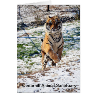 Cedarhill Animal Sanctuary Card