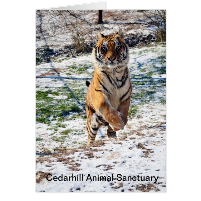 Cedarhill Animal Sanctuary Card (Voorkant)