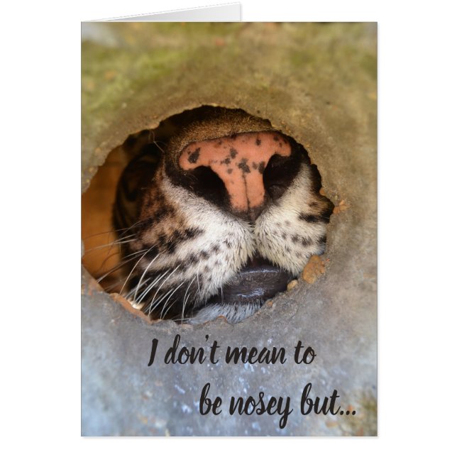 Cedarhill Animal Sanctuary Card (Voorkant)