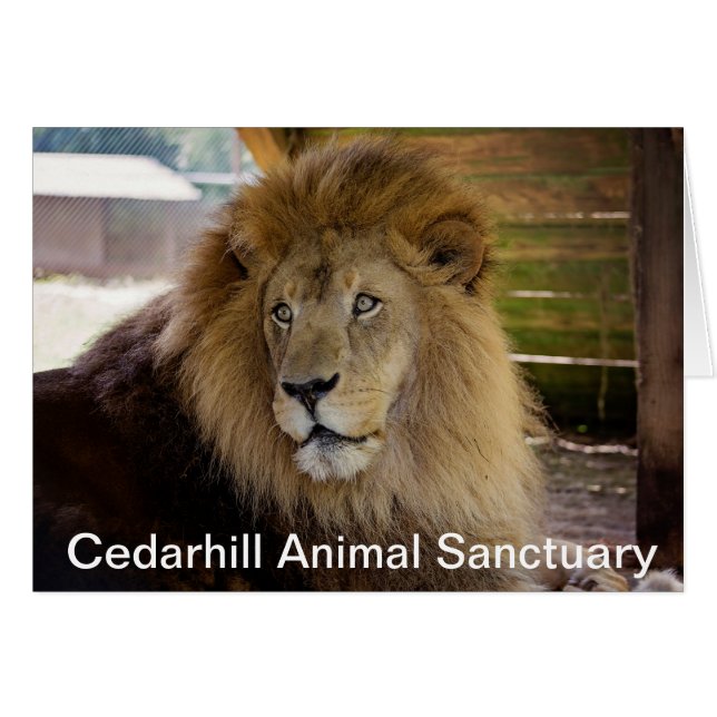 Cedarhill Animal Sanctuary Card (Voorkant Horizontaal)
