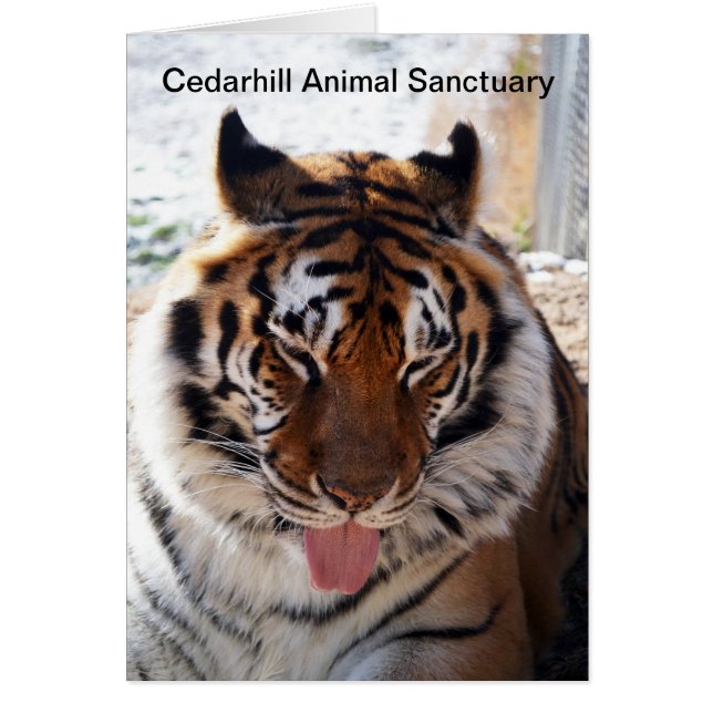 Cedarhill Animal Sanctuary Card (Voorkant)