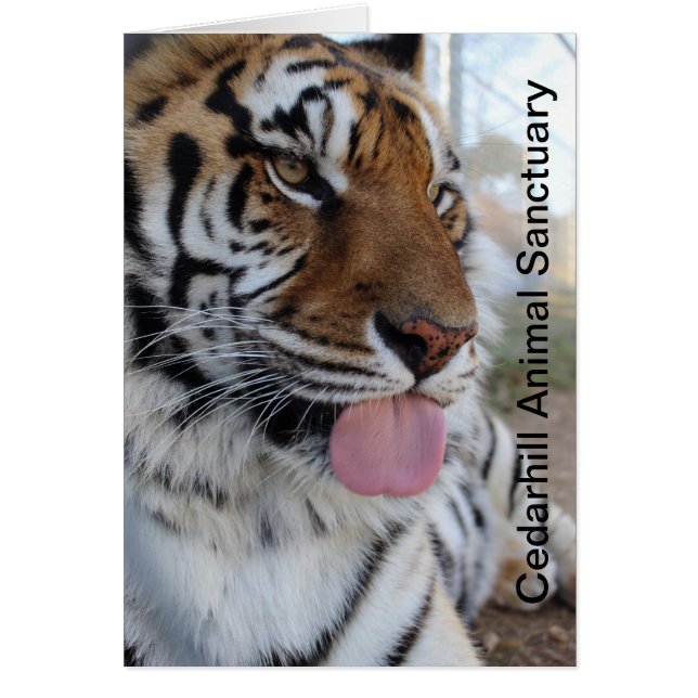 Cedarhill Animal Sanctuary Card (Voorkant)