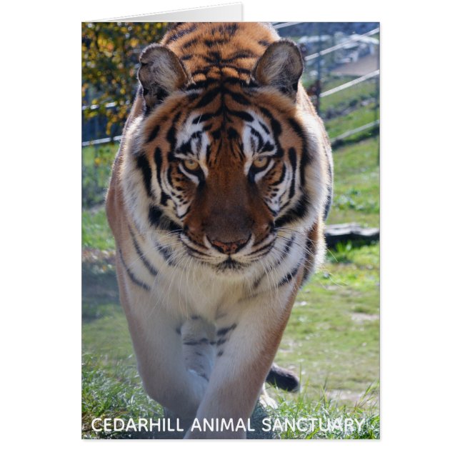Cedarhill Animal Sanctuary Card (Voorkant)