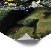 CedarRockFalls_100_026 Poster (Hoek)