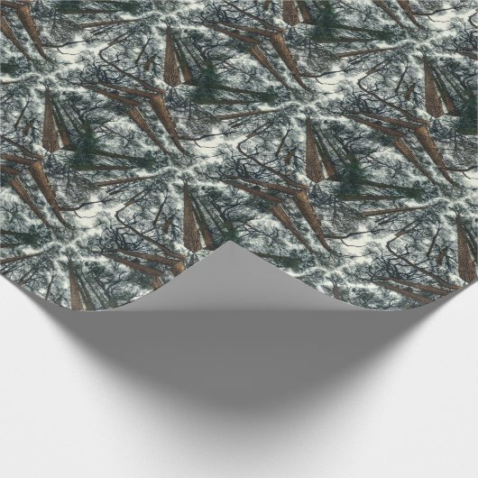 Cedars Forest Natuurlijke Libanon Achtergrond Cadeaupapier (Hoek)