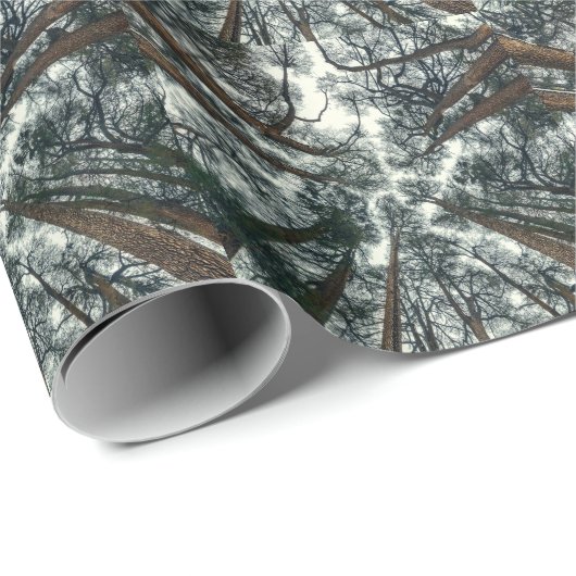 Cedars Forest Natuurlijke Libanon Achtergrond Cadeaupapier (Rol Hoek)