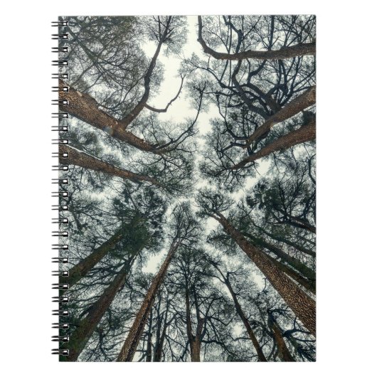 Cedars Forest Natuurlijke Libanon Achtergrond Notitieboek (Voorkant)