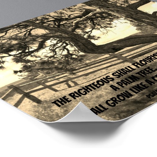 Cedars of Libanon Bijbel Verse Psalm 91:12 Briefka Poster (Hoek)