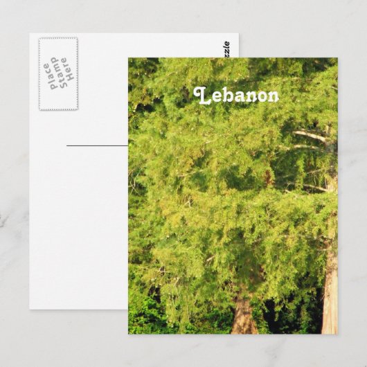 Cedars van Libanon Briefkaart (Voorkant / Achterkant)