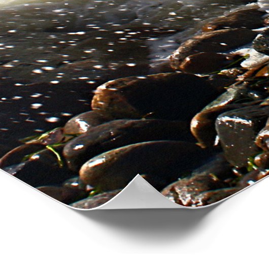 CedarTreeNeck16x20 Poster (Hoek)