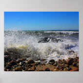 CedarTreeNeck16x20 Poster (Voorkant)