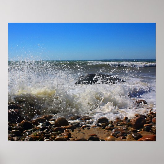 CedarTreeNeck16x20 Poster (Voorkant)