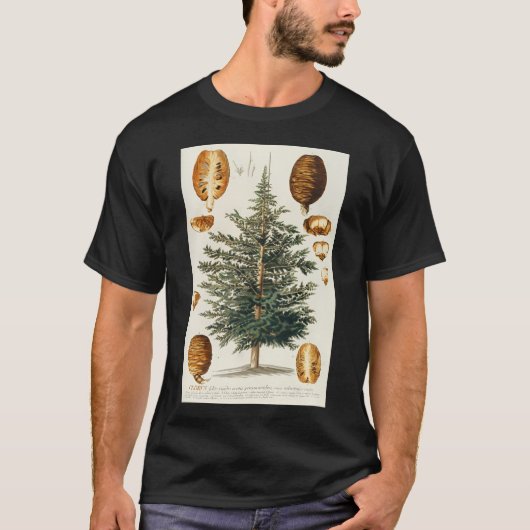 Ceder boom en kegel dissectatie - Cedrus - Botani T-shirt (Voorkant)