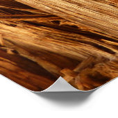 Ceder gestructureerd houten schors uitzicht poster (Hoek)