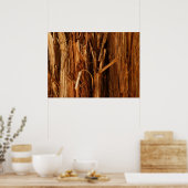 Ceder gestructureerd houten schors uitzicht poster (Keuken)