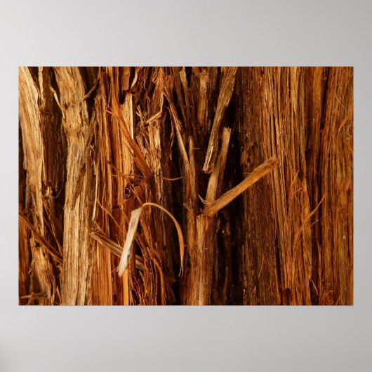 Ceder gestructureerd houten schors uitzicht poster (Voorkant)
