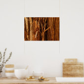 Ceder gestructureerd houten schors uitzicht poster (Keuken)