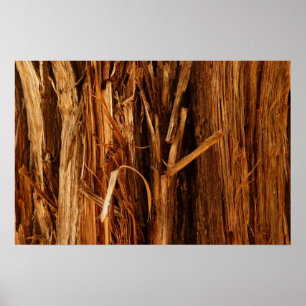 Ceder gestructureerd houten schors uitzicht poster
