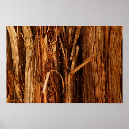 Ceder gestructureerd houten schors uitzicht poster (Voorkant)