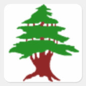 Ceder van Libanon Vierkante Sticker (Voorkant)