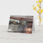 Ceder Waxwings en Vogelbad Kaart (Gele Bloem)